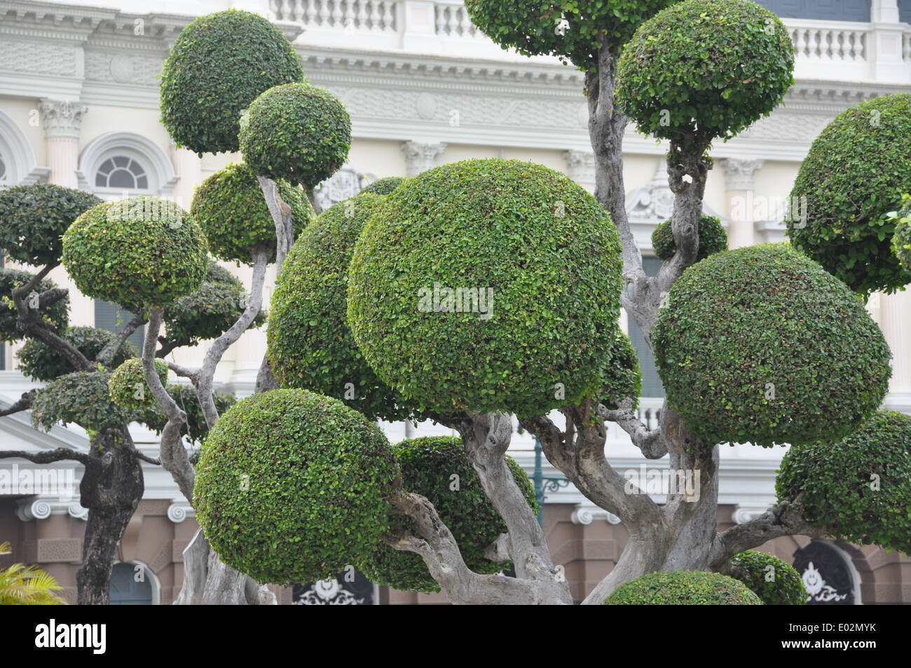 Gepflegter Garten Topiary Stockfotos und bilder Kaufen Alamy