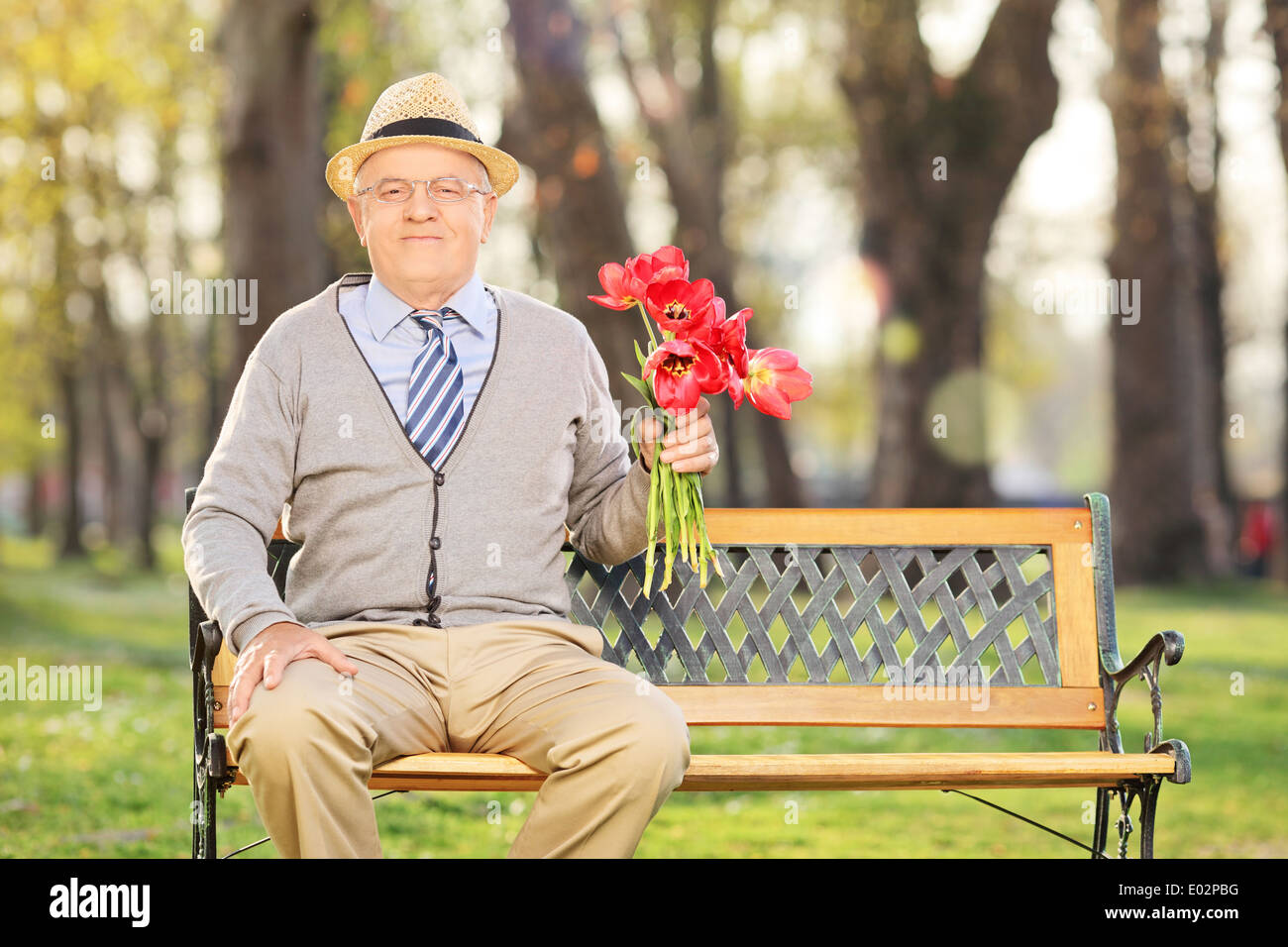 Älterer Herr hält eine Reihe von roten Tulpen sitzen auf Bank im park Stockfoto