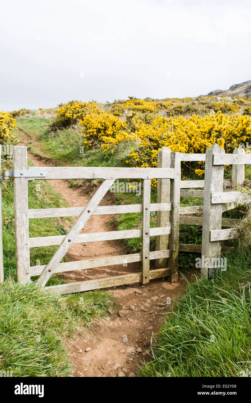 Küssende Tor auf Pembrokeshire Küstenweg in Porthmelgan, West-Wales Stockfoto