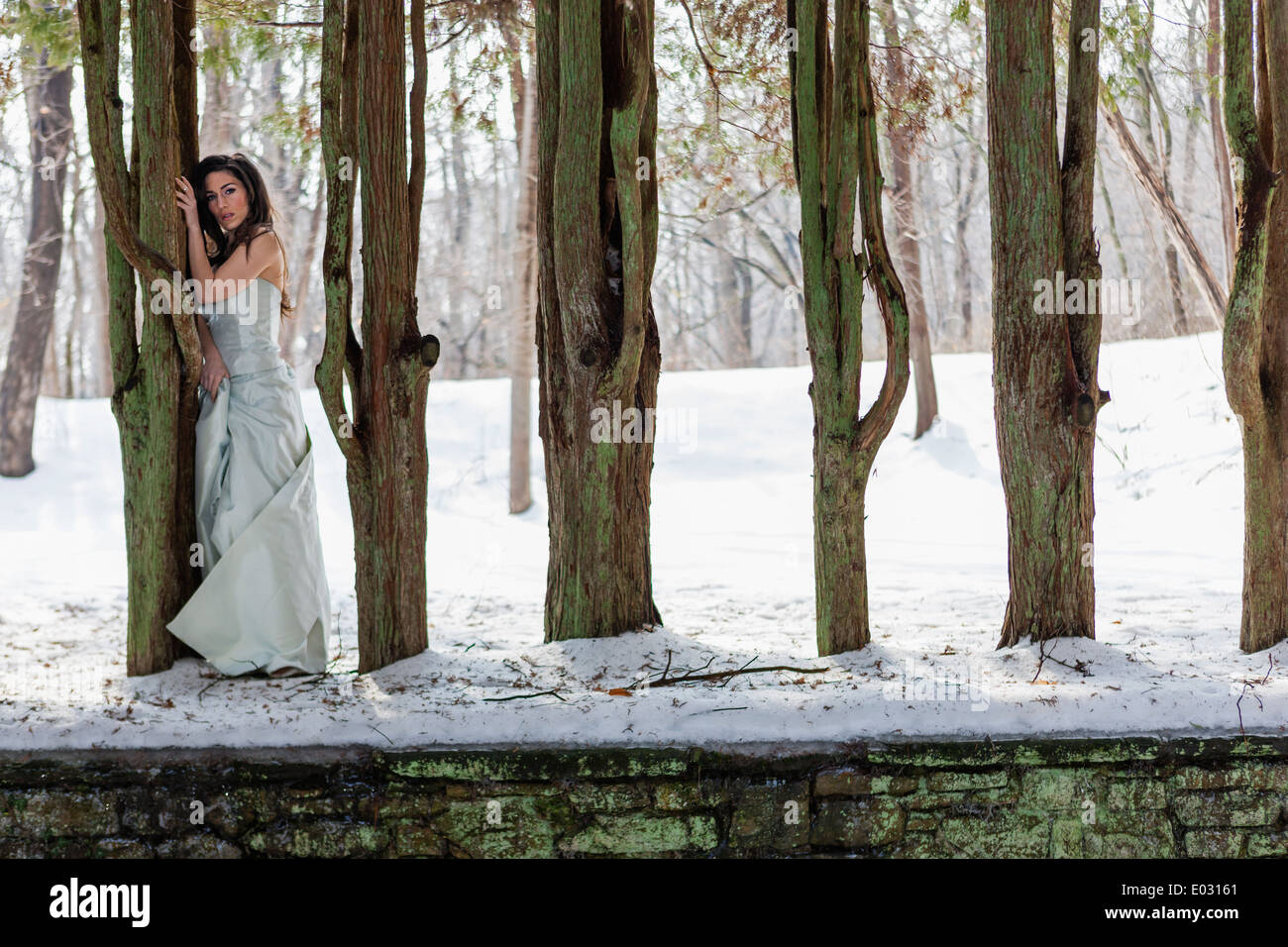Eine Frau in einem Ballkleid draußen im Schnee. Stockfoto
