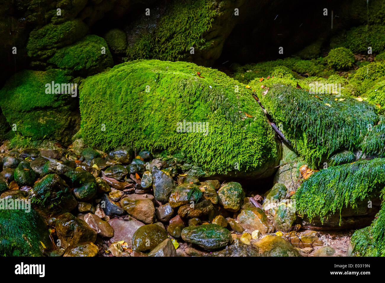 Grün bemoosten Felsen mit nassem Untergrund nahe Fluss in Griechenland Stockfoto