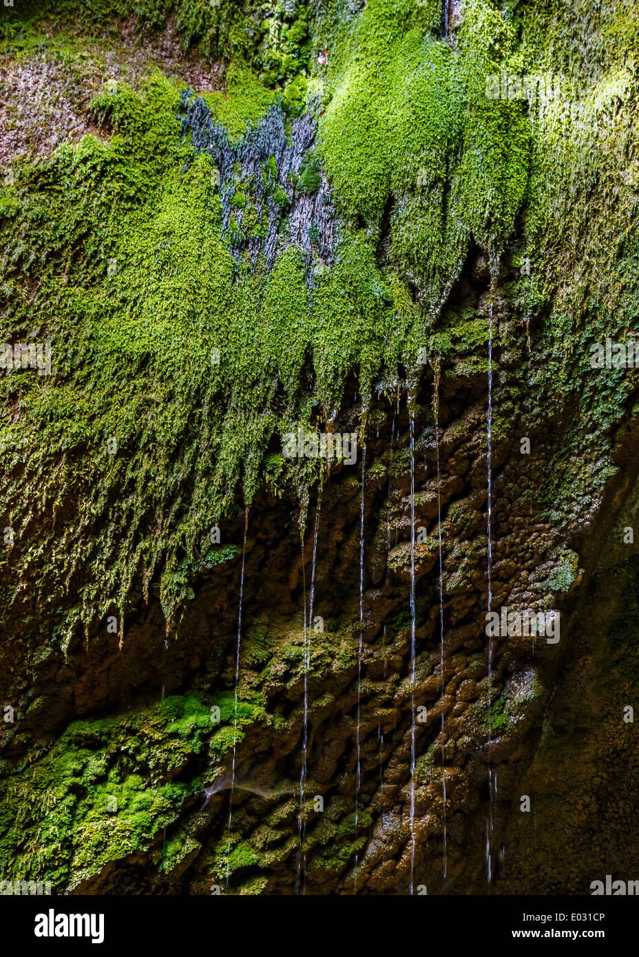 Grün bemoosten Felsen mit nassem Untergrund nahe Fluss in Griechenland Stockfoto