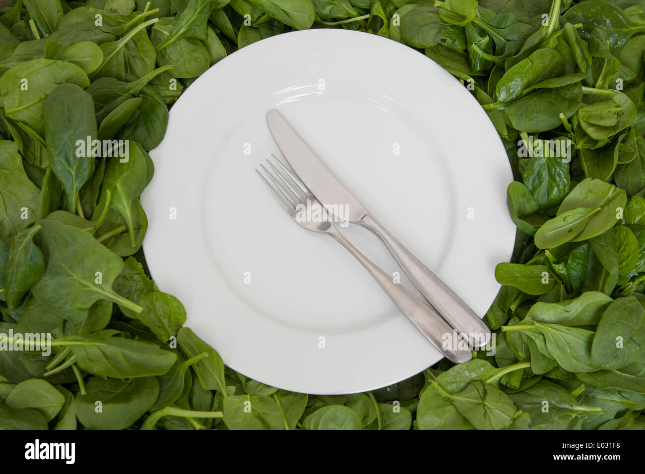 Einen weißen Porzellanteller mit Messer und Gabel ruht auf essbare Blätter. Das Konzept einer gesunden Ernährung. Stockfoto