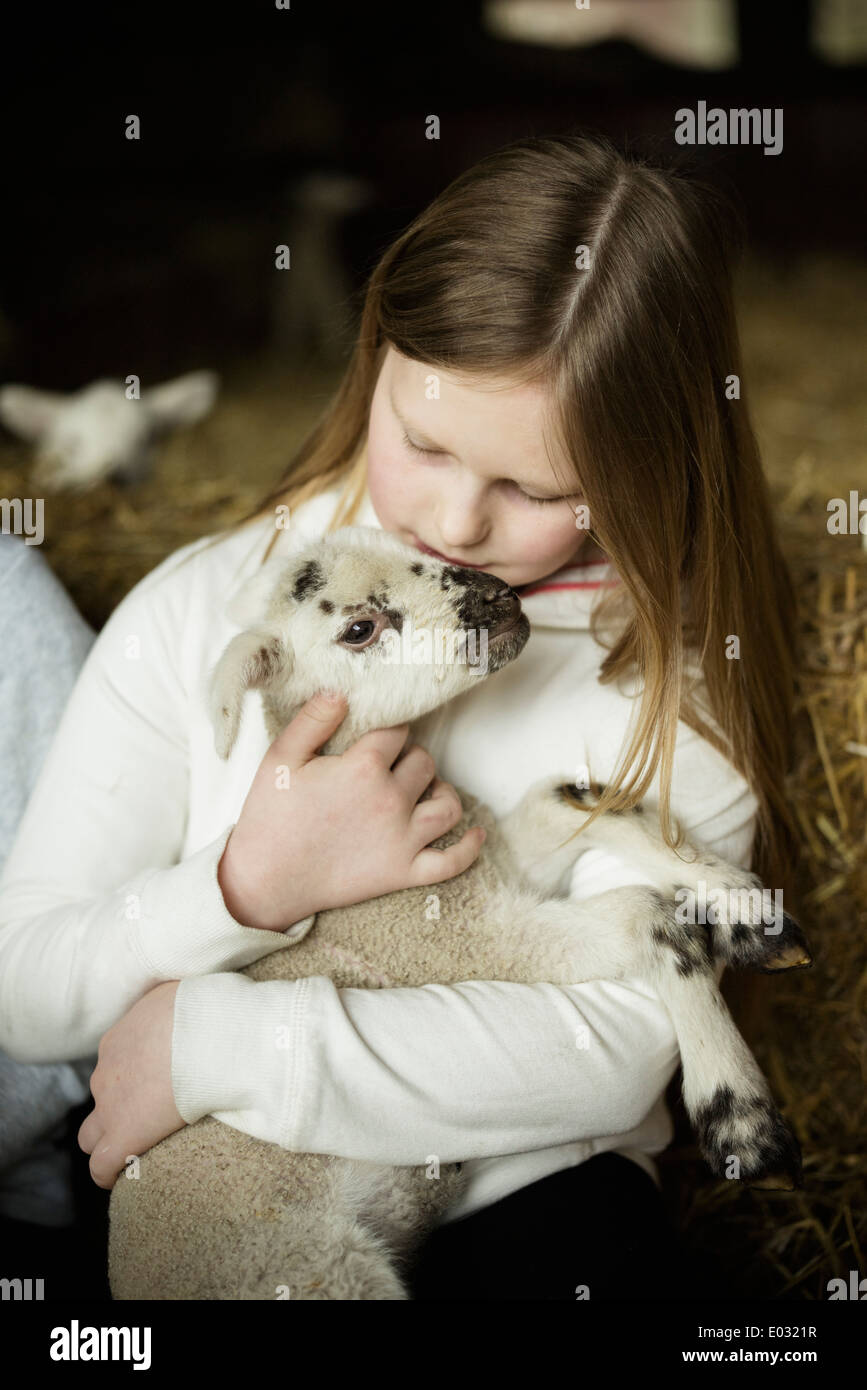 Ein Mädchen hält ein kleines Neugeborenes Lamm. Stockfoto