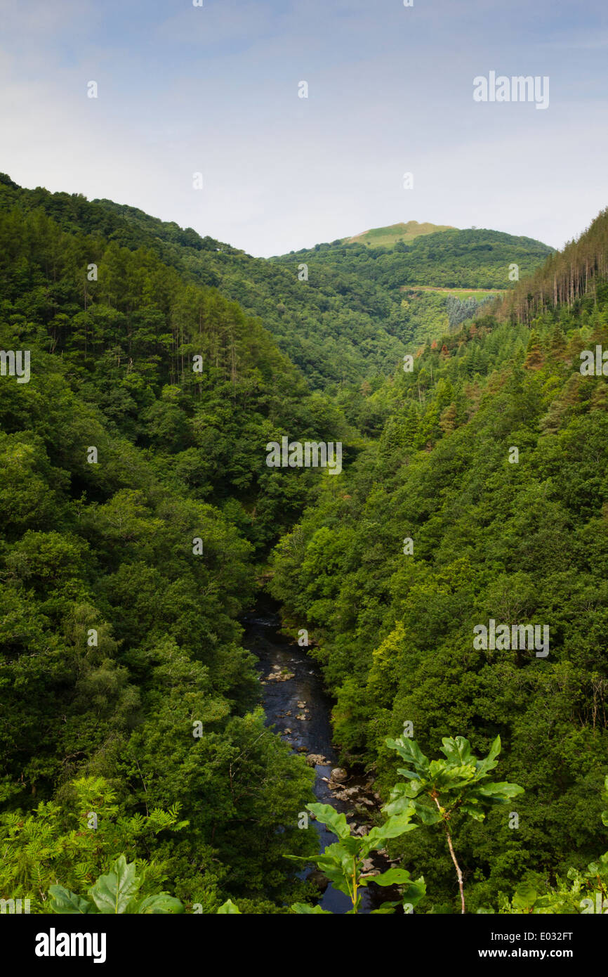 CEREDIGION, WALES Ansicht des Afon Rheidol Fluss, nahe der Brücke des Teufels. Stockfoto