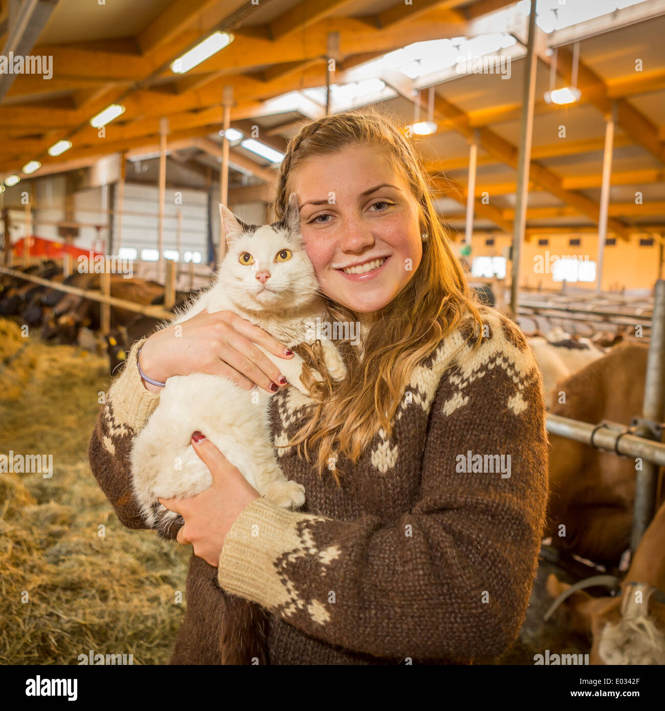 Teenager-Mädchen mit einem Milch-Schnurrbart hält ihre Katze, Familienbetrieb, West-Island Stockfoto