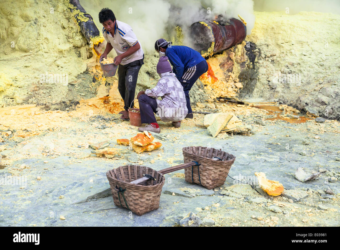 Schwefel-Bergbau-Betrieb am Kawah Ijen, Banyuwangi Regency, Ost-Java, Indonesien Stockfoto