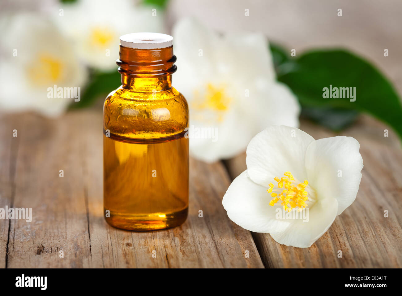 Ätherisches Öl mit Jasminblüten auf Tabellenhintergrund. Beauty-Behandlung Stockfoto