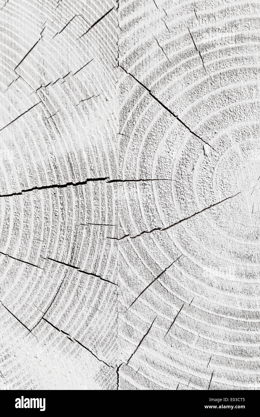 Weiße Holz Muster, Foto Hintergrundtextur geknackt Stockfoto