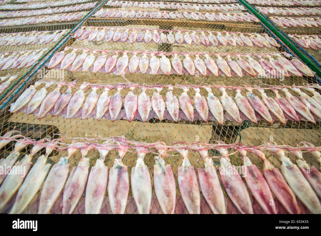 Getrockneten Tintenfisch Stockfoto