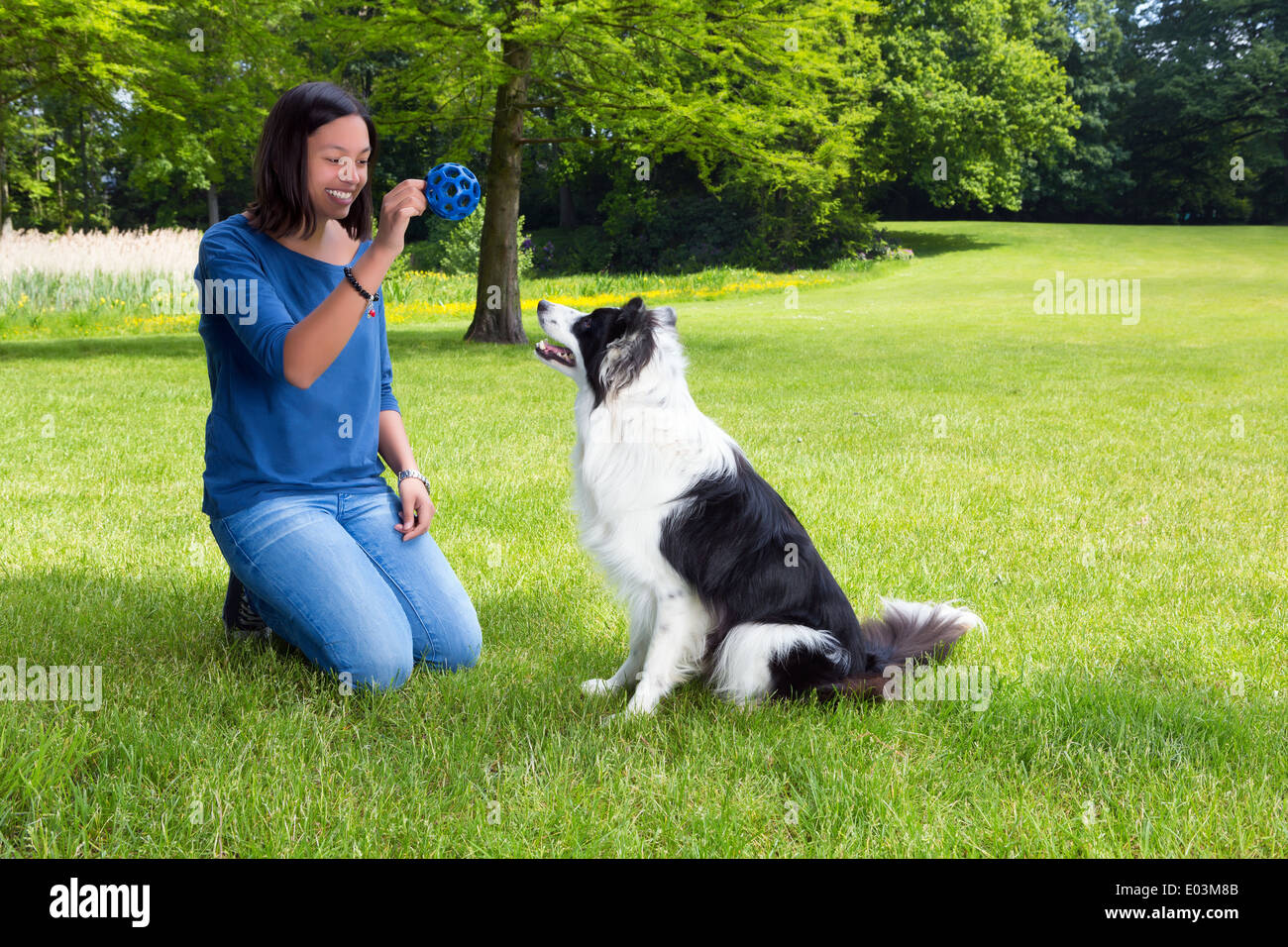 Schöne junge Frau wirft Ball mit ihrem Border-Collie Hund Stockfoto
