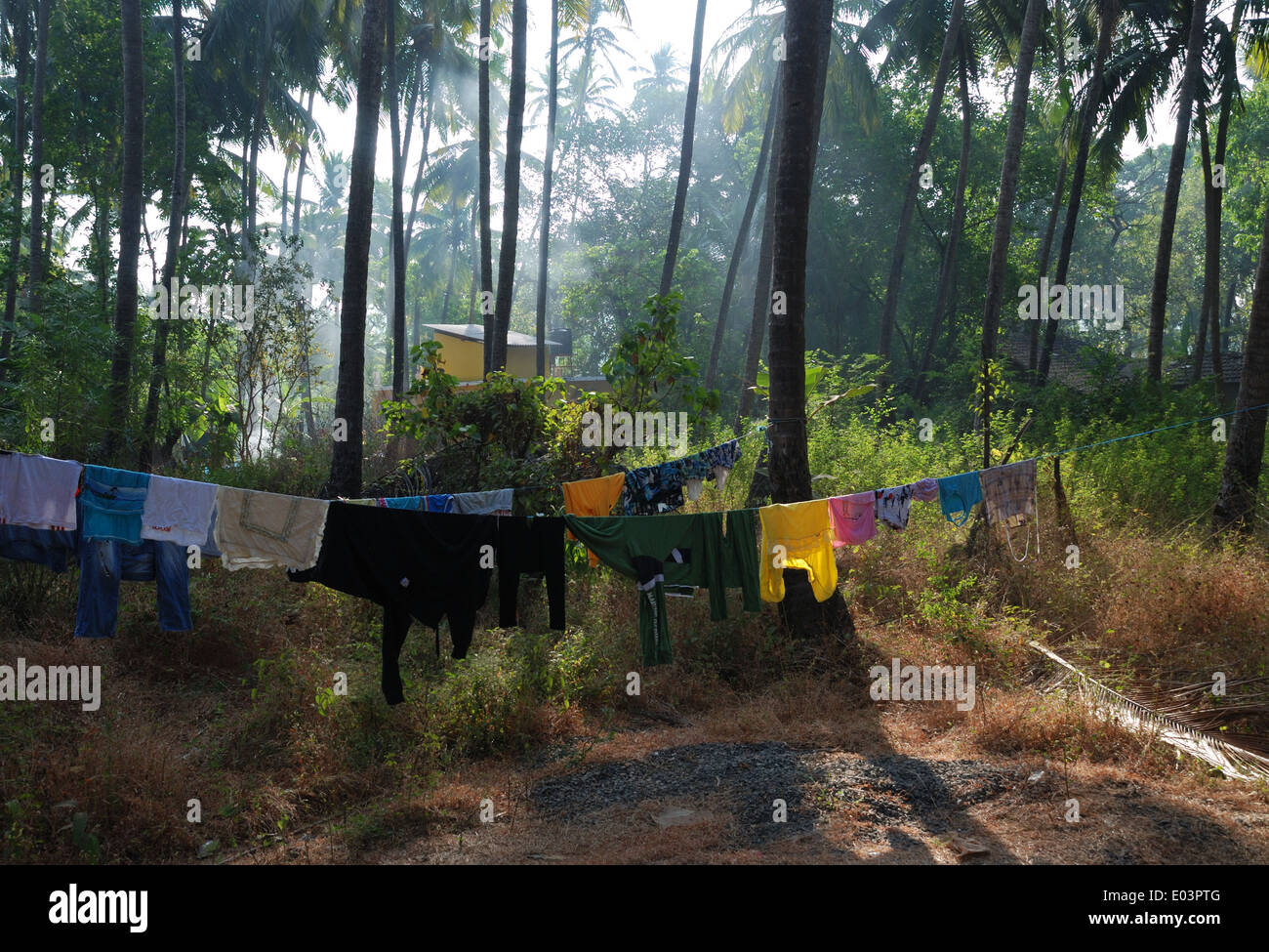 Wäscheständer mit Palmen am Mandrem, Goa, Indien. Stockfoto