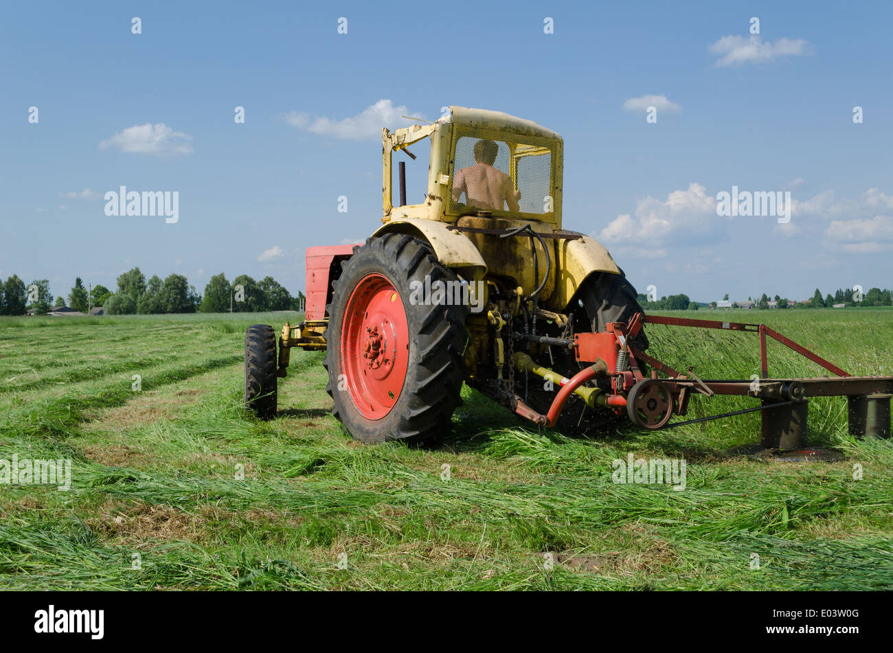 gelber roter kleiner Traktor mäht den Rasen schön macht, biegen Sie auf der Wiese Stockfoto