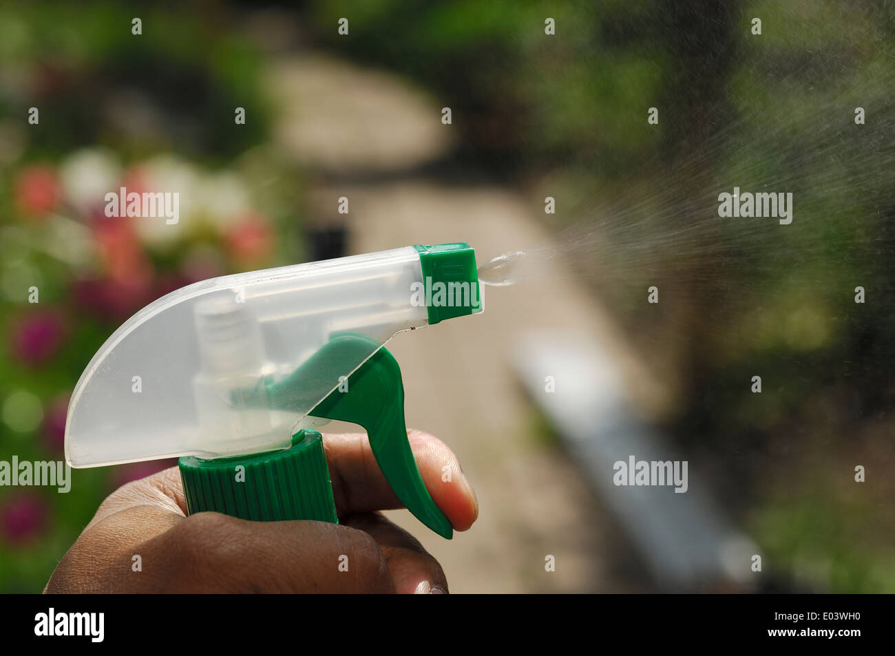 Gärtner mit Wasser Sprayer Gartenpflanzen Nebel Stockfoto