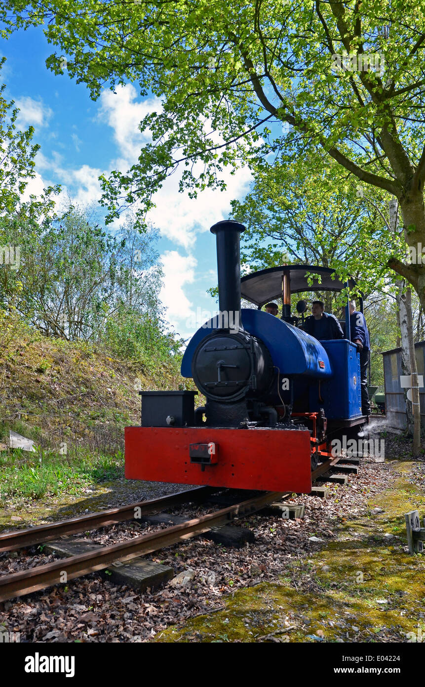 W.G.Bagnall Ltd., Stafford, Sattel 0-4-0 Tank "Wendy" in Bursledon Industriemuseum Ziegelei, Hampshire. Stockfoto