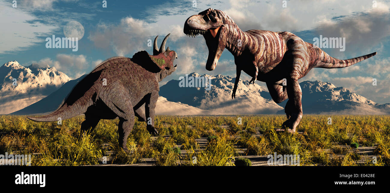 T-Rex Angriff auf eine Triceratops.1. Stockfoto