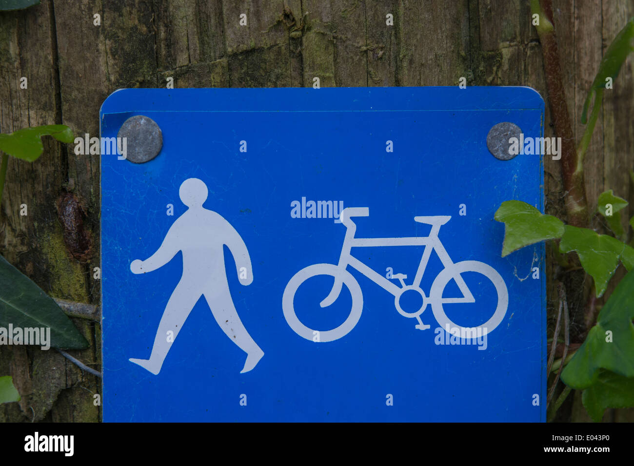 Schild für Radfahren/Wandern entlang einer ausgewiesenen Erholungsroute. Fahrradinfrastruktur UK. Für umweltfreundlichen Transport. Stockfoto