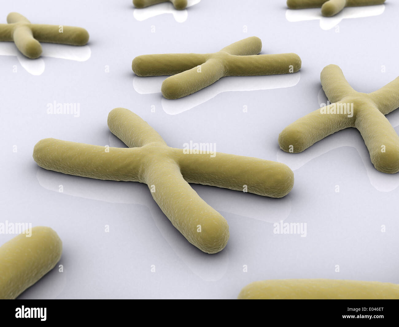 Konzeptbild des Chromosoms. Stockfoto