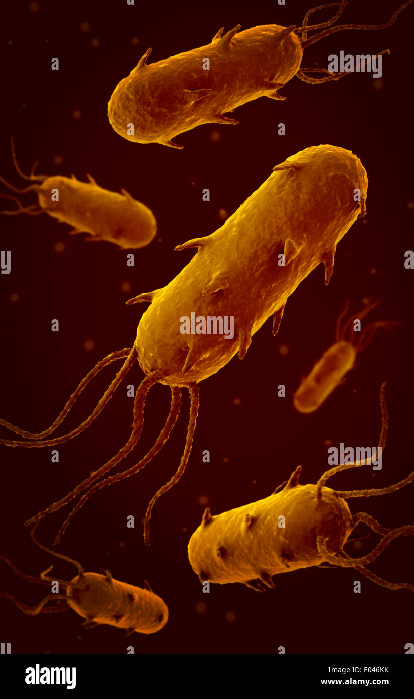 Konzeptbild von flagellate Bakterium. Stockfoto