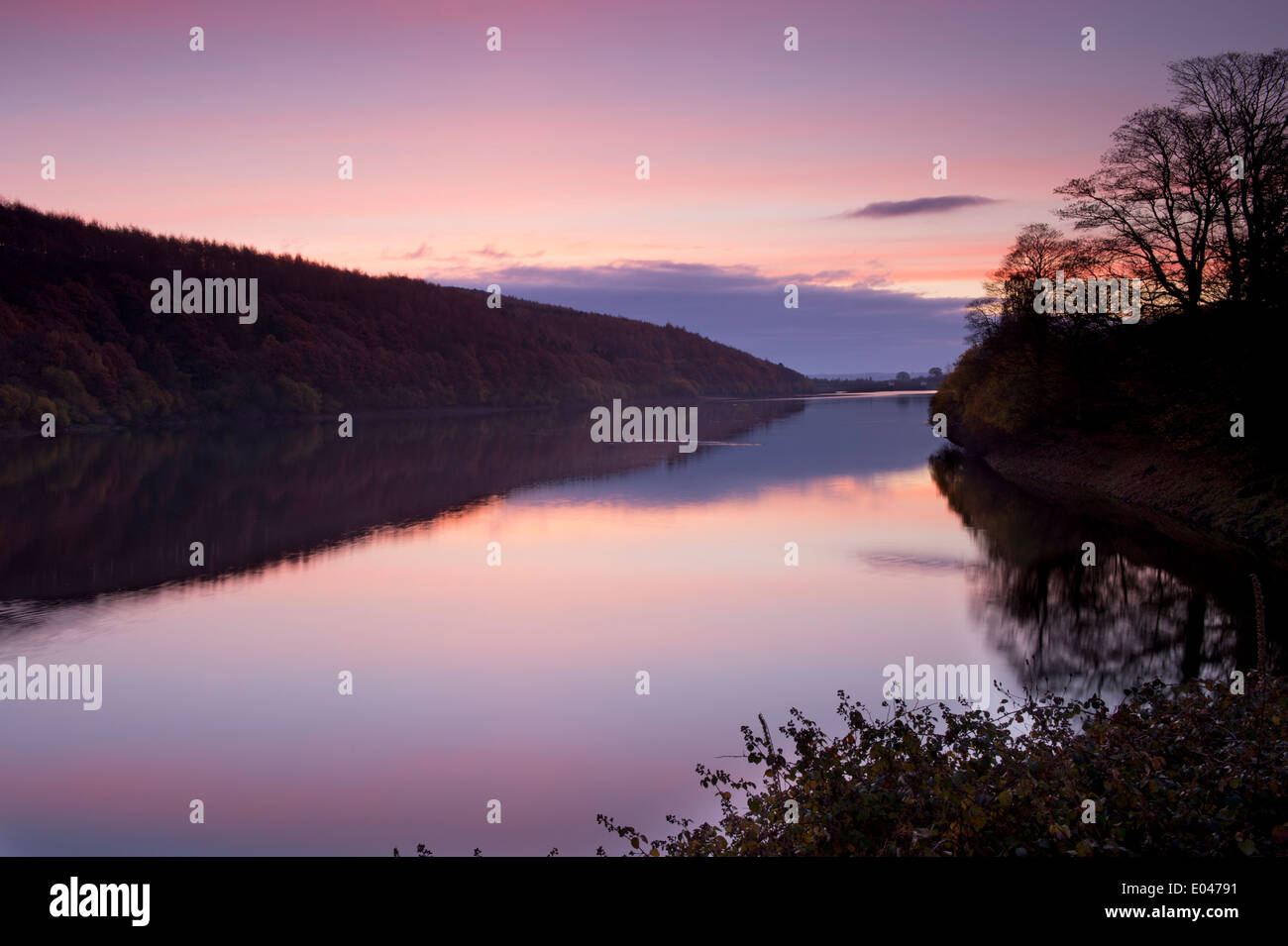 Schöner ländlicher, malerischer Sonnenaufgang über Stillen, ruhiges Wasser (Wald und Lichtreflexe des farbenfrohen rosafarbenen Himmels) - Lindley Wood Reservoir, North Yorkshire, GB. Stockfoto