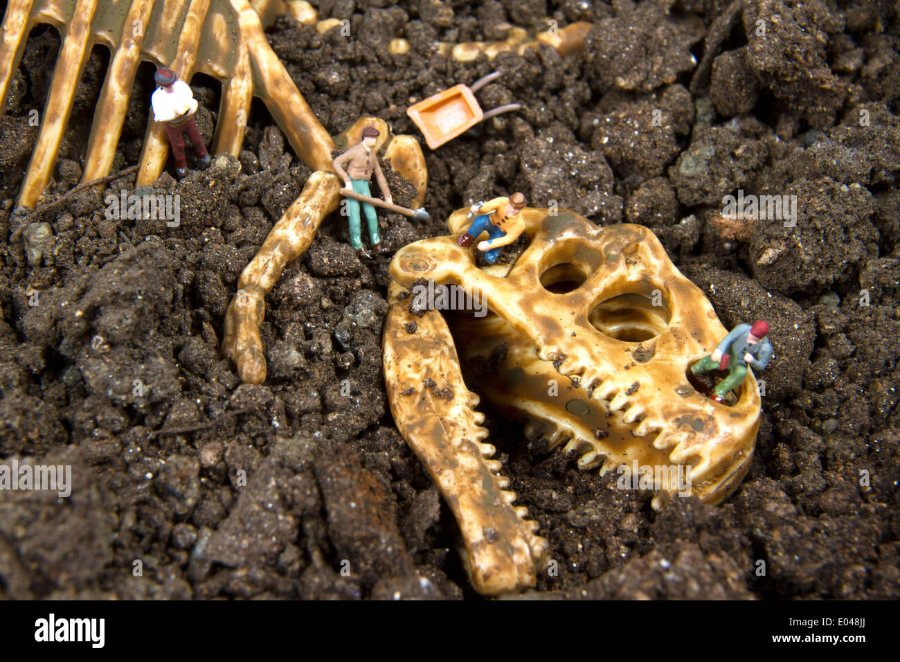 Archäologen arbeiten bei einer Ausgrabungsstätte von Dinosaurier-Ruinen Stockfoto