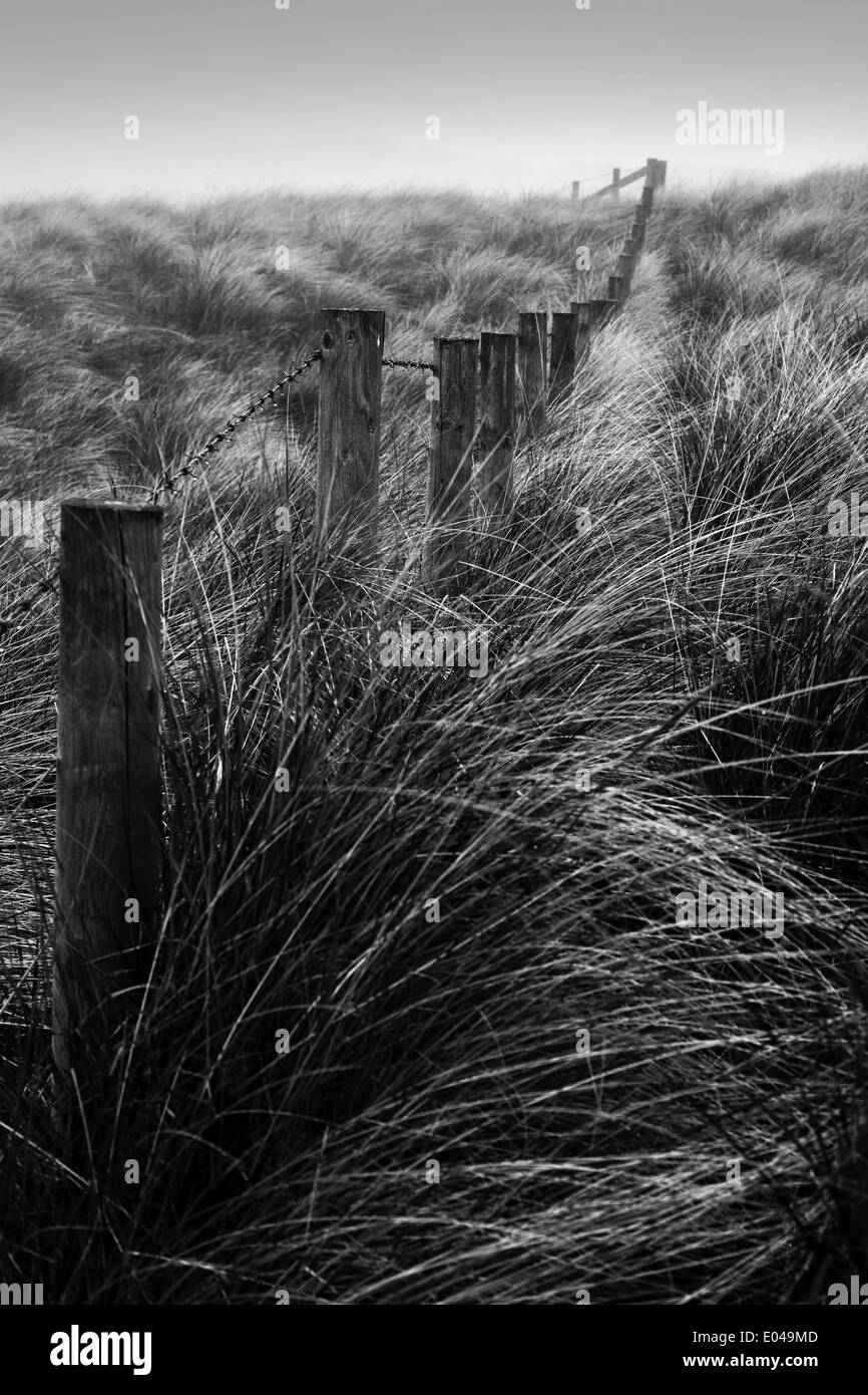 Holzpfähle und Stacheldraht in einer Sanddüne, England, UK Stockfoto