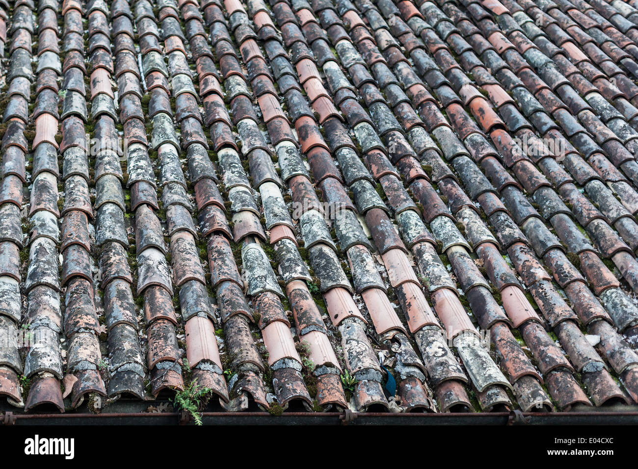 eine alte und Grunge gefliest Dach eines Hauses in Kroatien Stockfoto