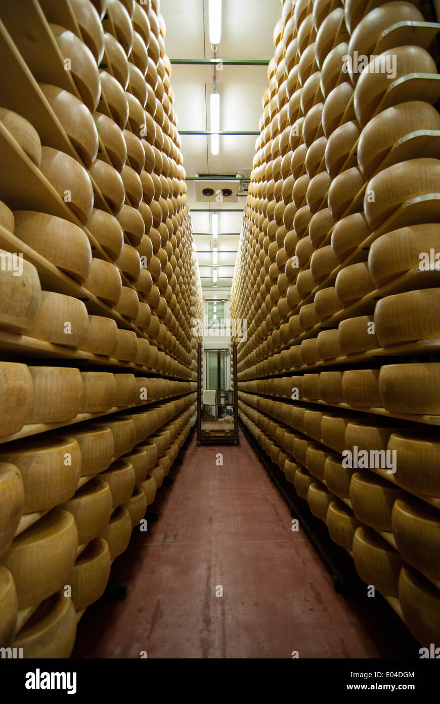 Parmigiano-Käse-Fabrik in Parma, Italien Stockfoto