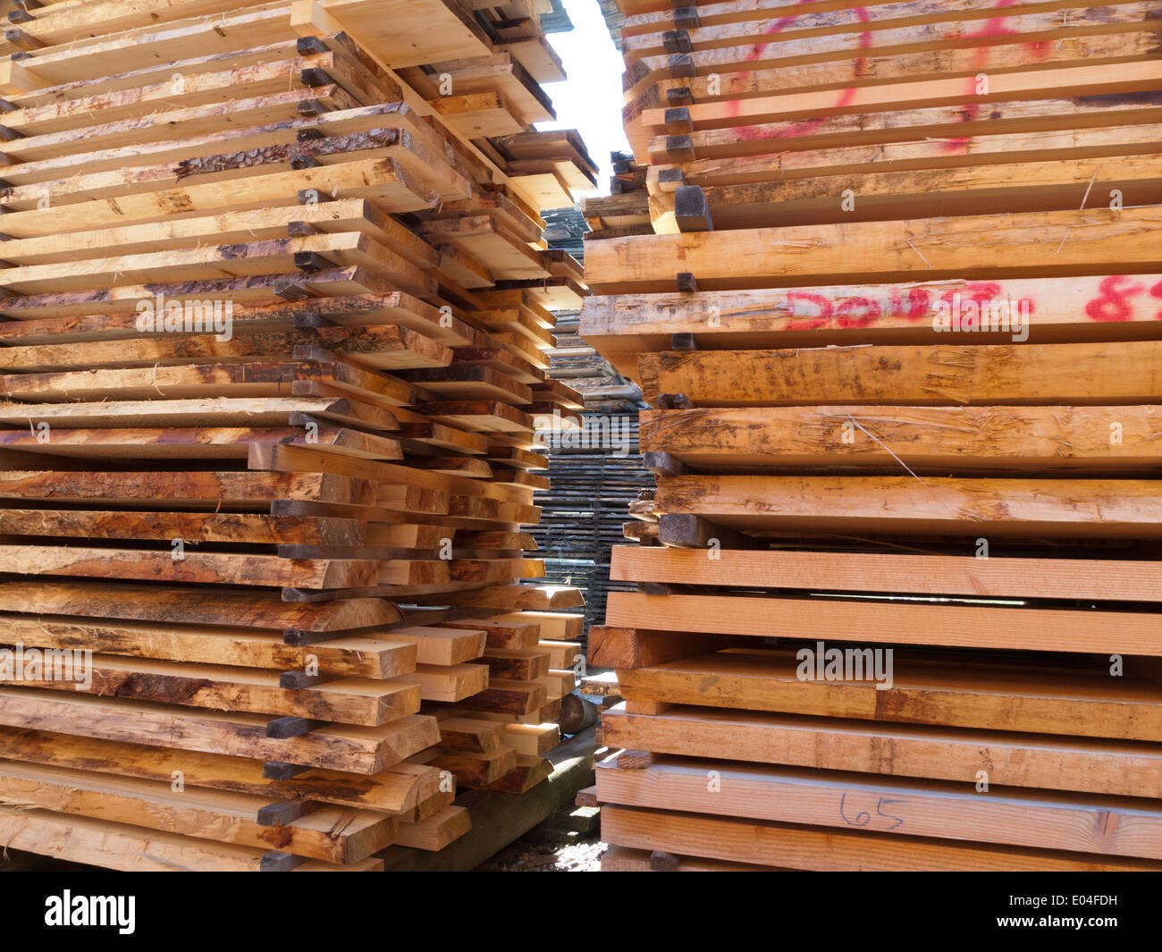 riesige Mengen von Holz / Holz gestapelt zur weiteren Verarbeitung in ein  Holzlager im Emmental, Schweiz Stockfotografie - Alamy