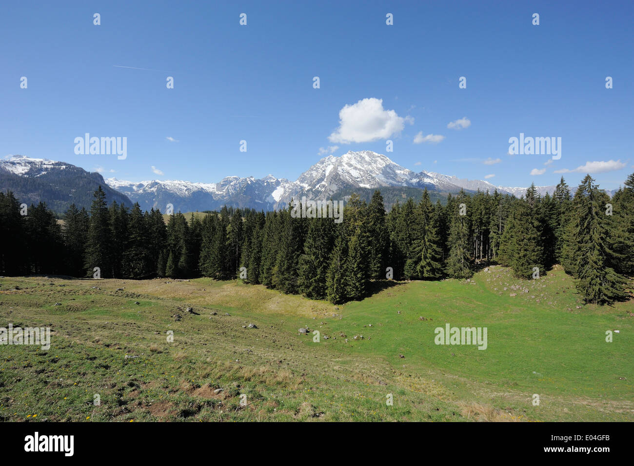 von einem Wanderweg durch Berchtesgaden Naturschutzgebiet mit Blick auf Watzmann, Bayern, Deutschland Stockfoto