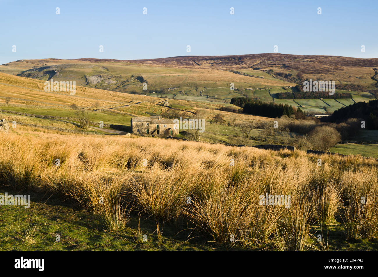 Entfernten Swaledale-Bauernhaus Stockfoto