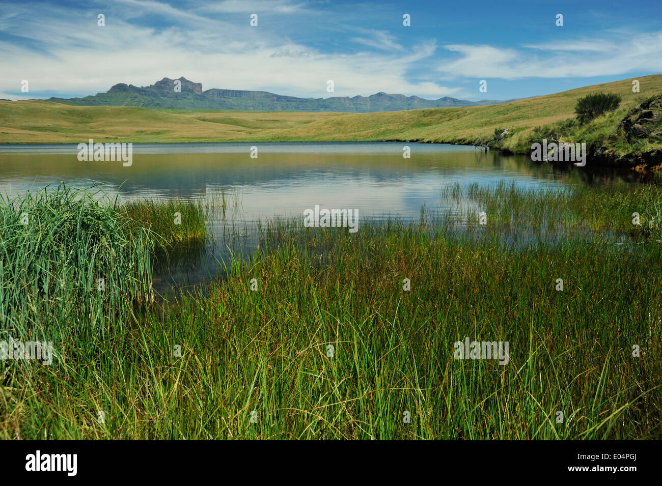 Highmoor, KwaZulu-Natal, Südafrika, Blick auf die Giants Castle Peaks in Drakensberg, Reflexion von Berg im See, Landschaft Stockfoto