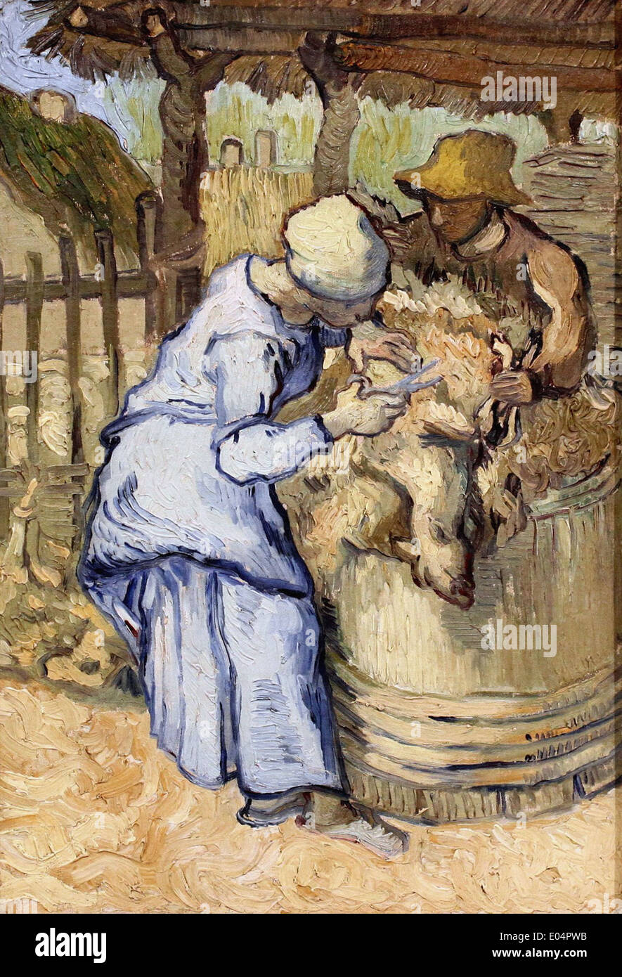Vincent van Gogh das Scheren der Schafe Stockfotografie - Alamy