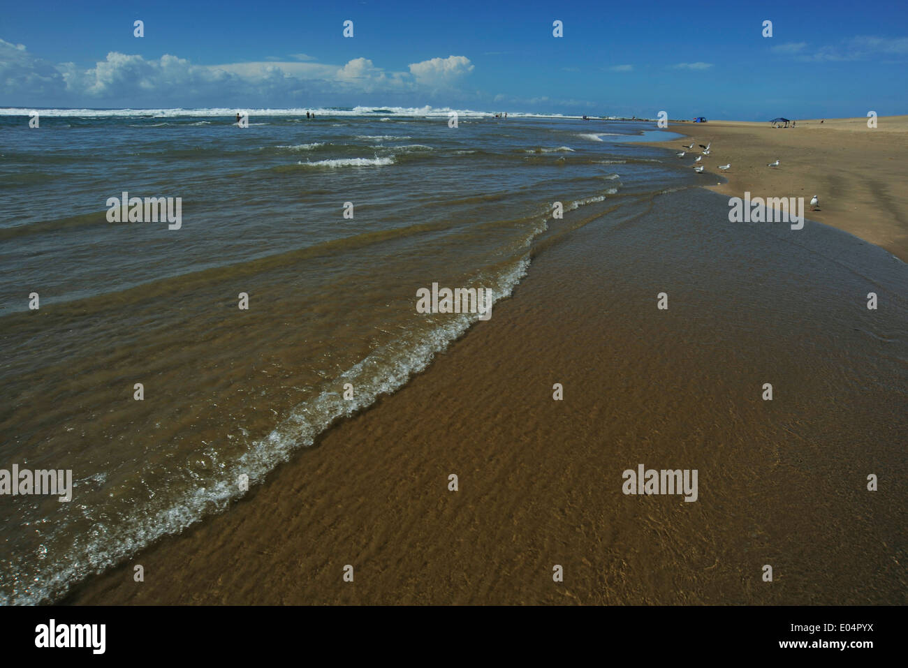 Saint Lucia, Kwa Zululu-Natal, Südafrika, Wellen auf Seashore, Cape Vidal Strand, iSimangaliso Wetland Park, Landschaft, Safari Stockfoto