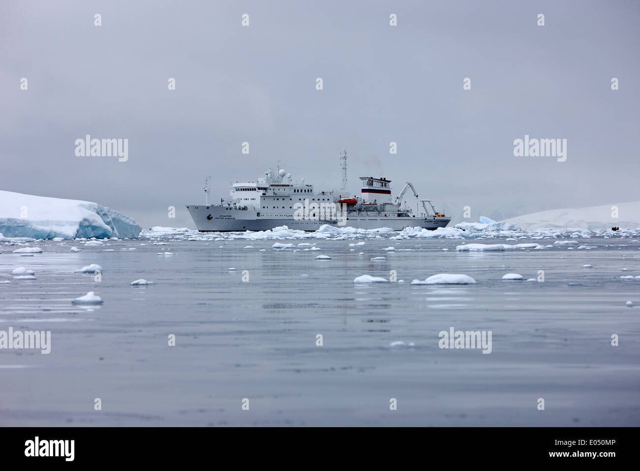 Akademik sergey Vavilov russischen Forschungsschiff in der Antarktis Fournier Bay Stockfoto