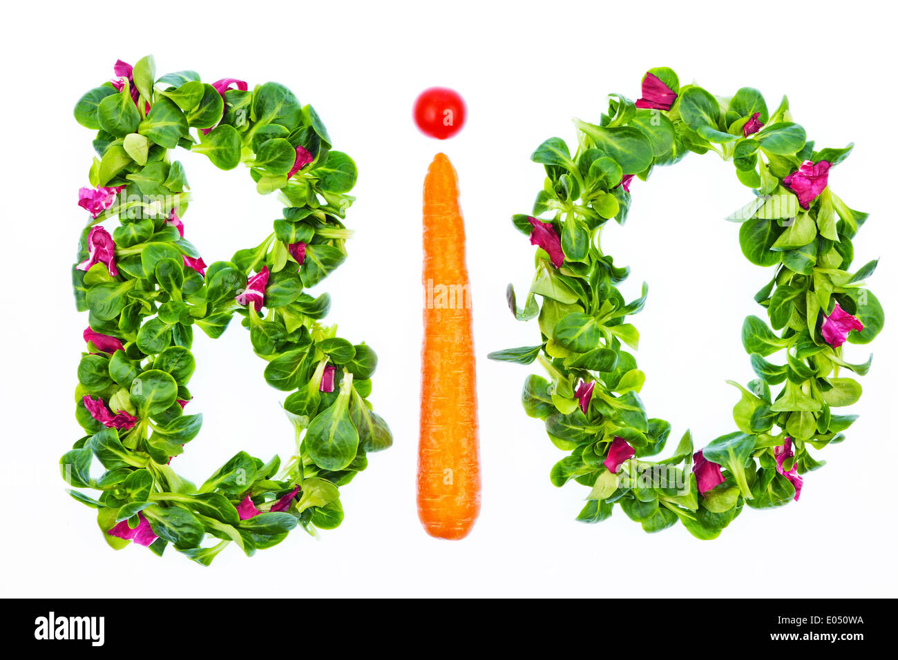 Das Wort Biologie aus Salat und Gemüse geschrieben. Gesunde Ernährung mit biologischen Lebensmitteln, Das Johanniskraut Bio aus Salat Und Gemuese geschr Stockfoto