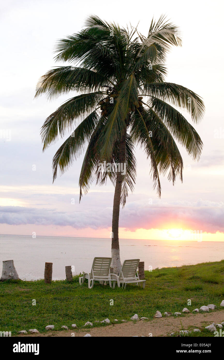 Eine Reihe von Liegestühlen unter einer Palme mit Blick auf den Sonnenuntergang am Meer. Stockfoto