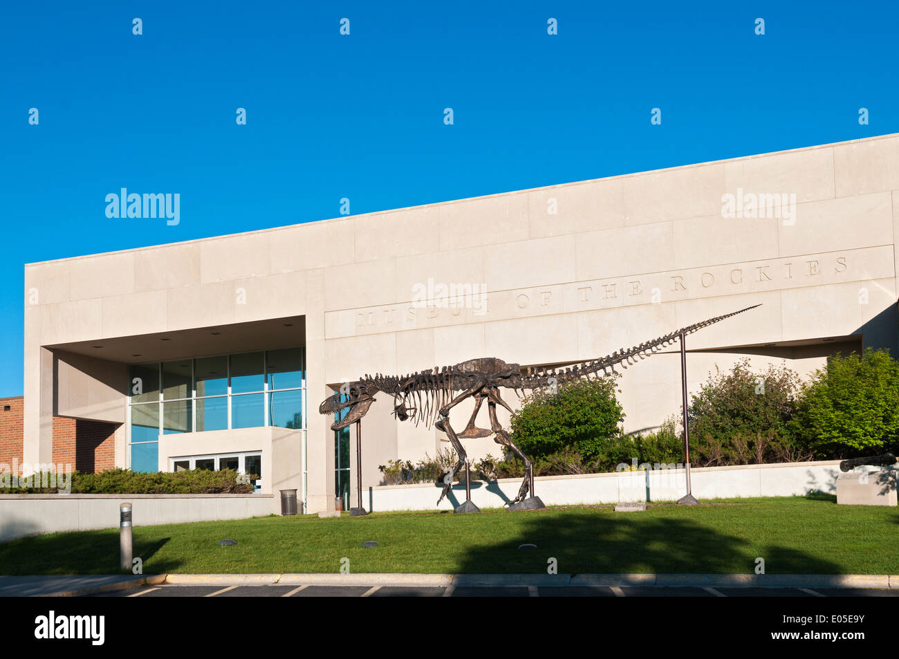 Bozeman, Montana Museum of the Rockies, Dinosaurier-Ausstellung Stockfoto