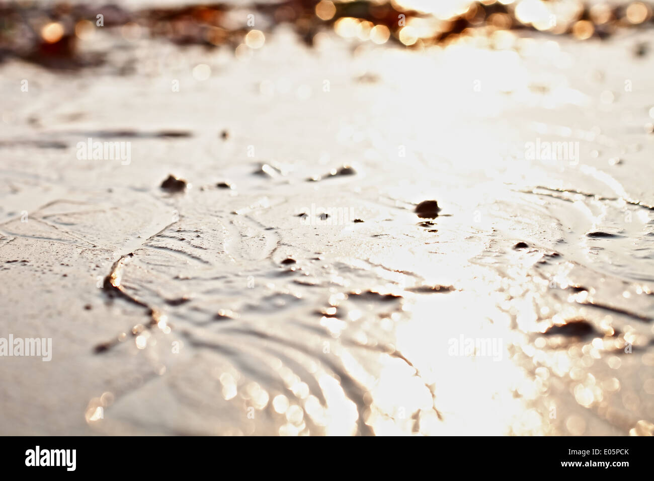 Hintergrund mit nassem Sand closeup Stockfoto