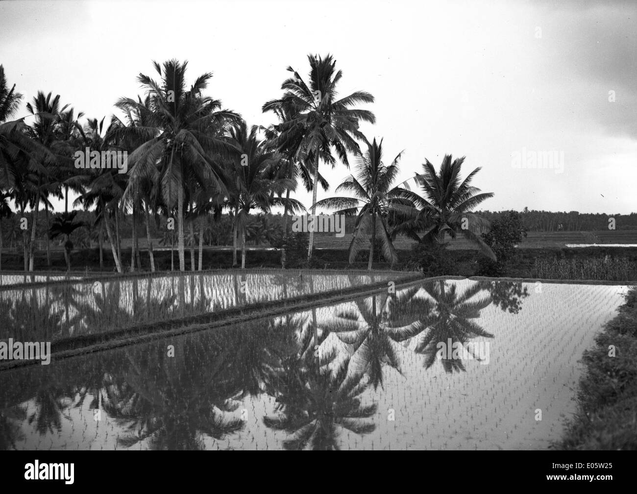 Bali (Indonesien) Stockfoto