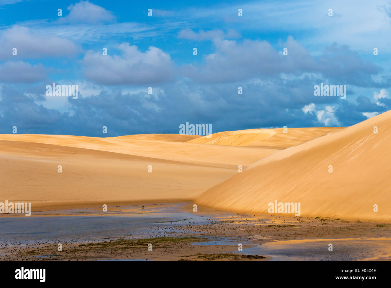 Sanddüne in Lencois Maranheinses Nationalpark, Bundesstaat Maranhao, Brasilien Stockfoto