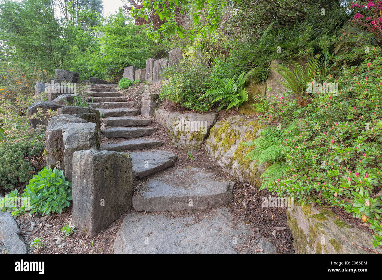 Garten Stein Treppe Schritte Hardscape Mit Natursteine Mit Pflanzen Baume Farne Landschaftsbau Stockfotografie Alamy