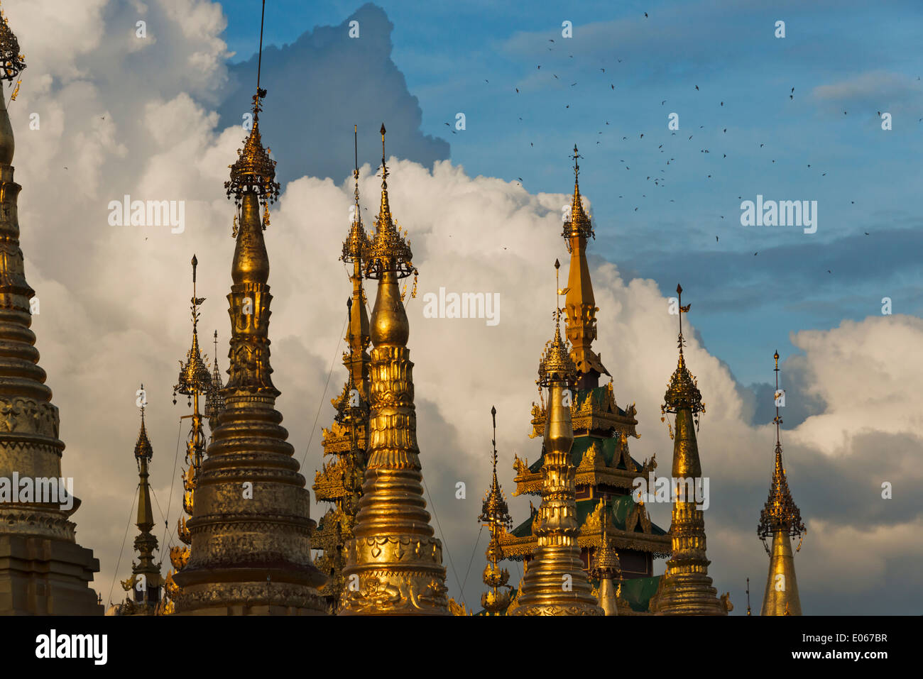 Shwedagon Pagode in Yangon, Myanmar Stockfoto