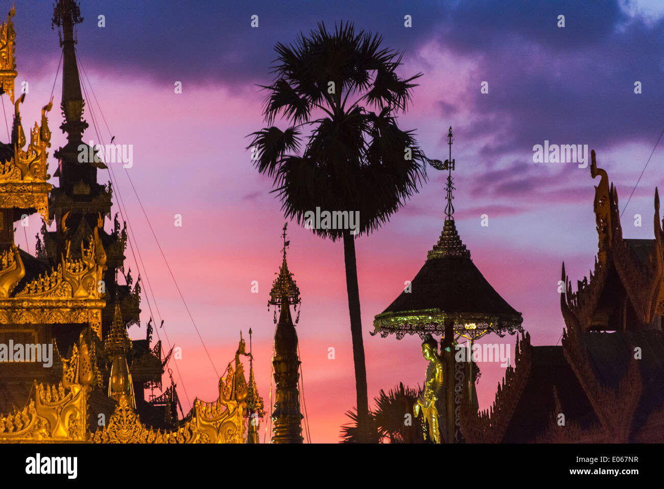 Nachtansicht der Shwedagon Pagode in Yangon, Myanmar Stockfoto