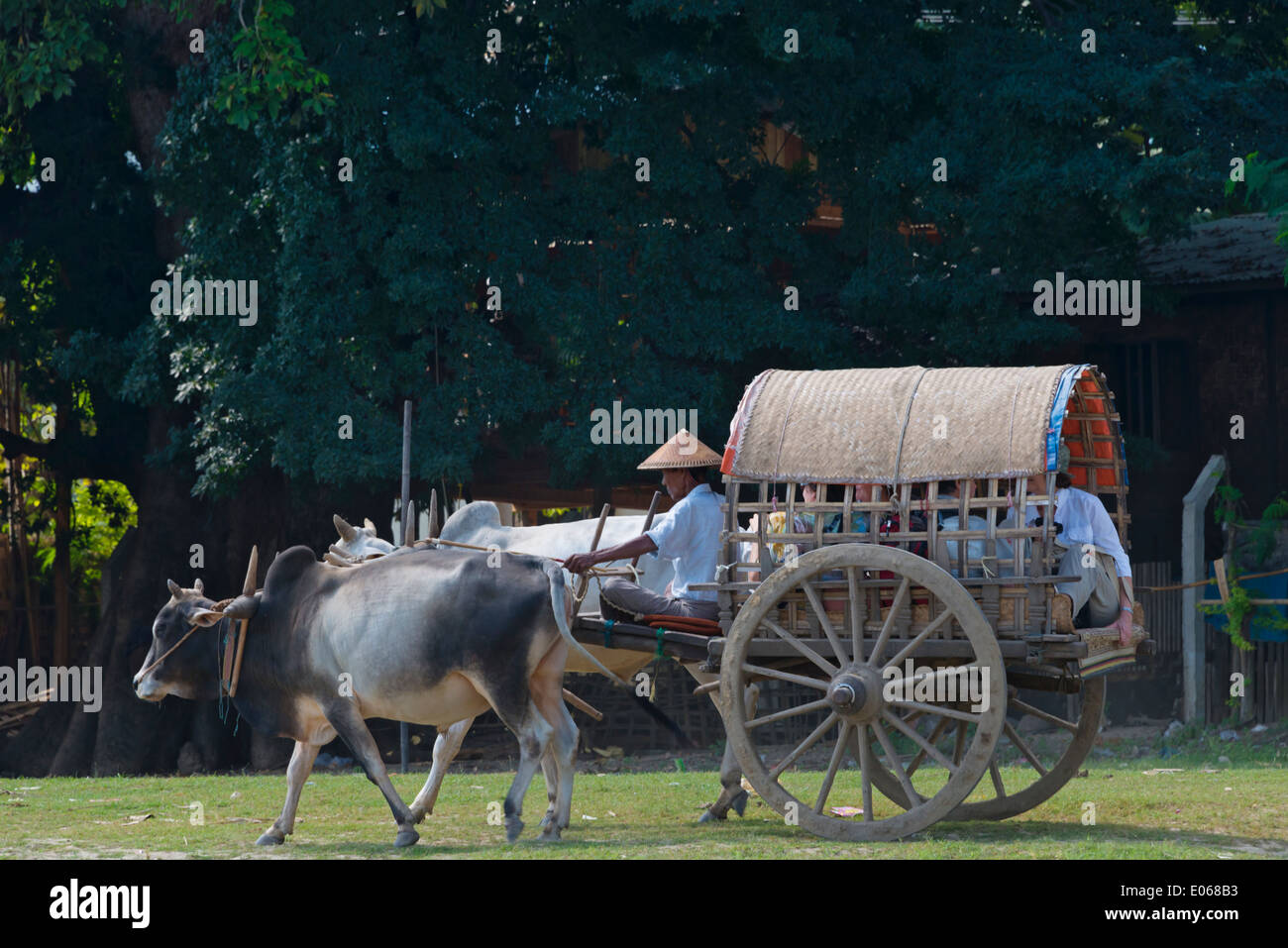 Touristen, die Reiten auf Ochsenkarren, Mingun, Myanmar Stockfoto