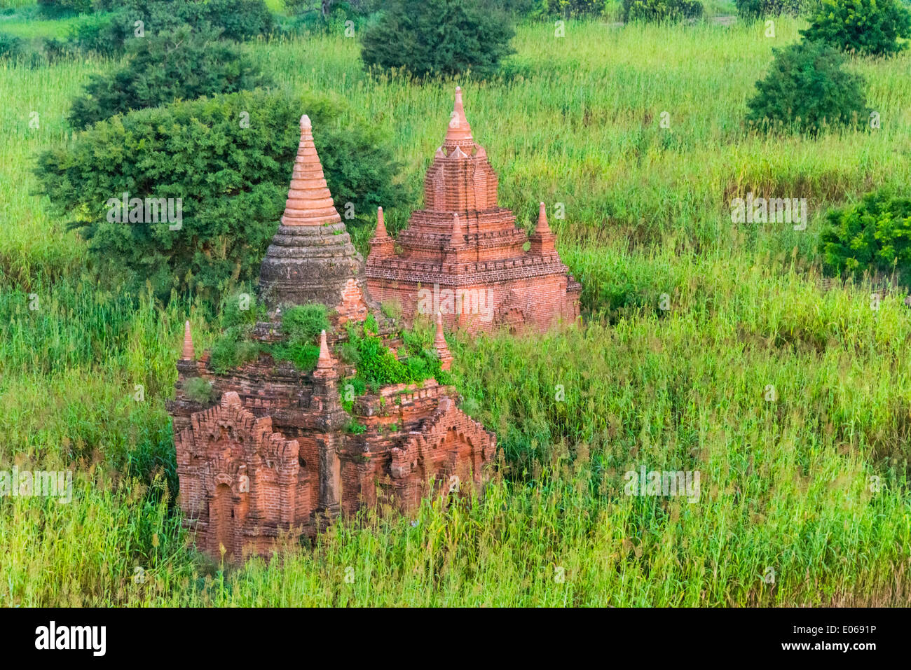 Tempel und Pagoden in den Dschungel bei Sonnenaufgang, Bagan, Myanmar Stockfoto