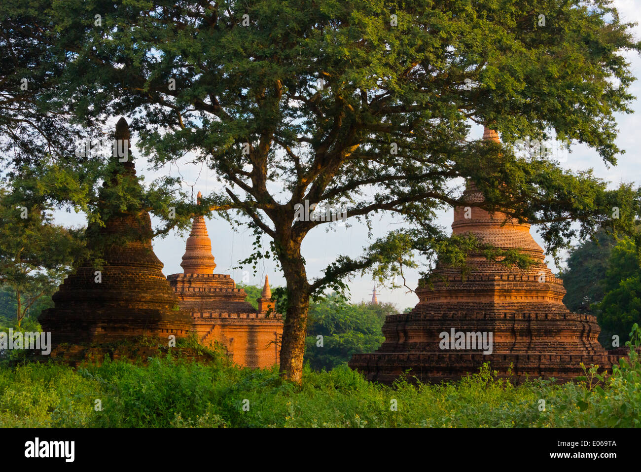 Tempel und Pagoden in den Dschungel bei Sonnenaufgang, Bagan, Myanmar Stockfoto