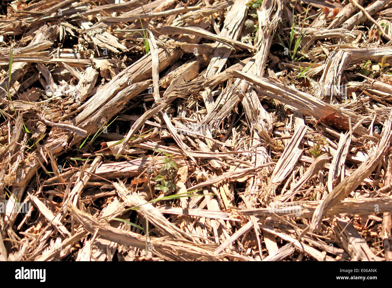 Holz auf dem Boden zur ökologischen Energierückgewinnung Stockfoto