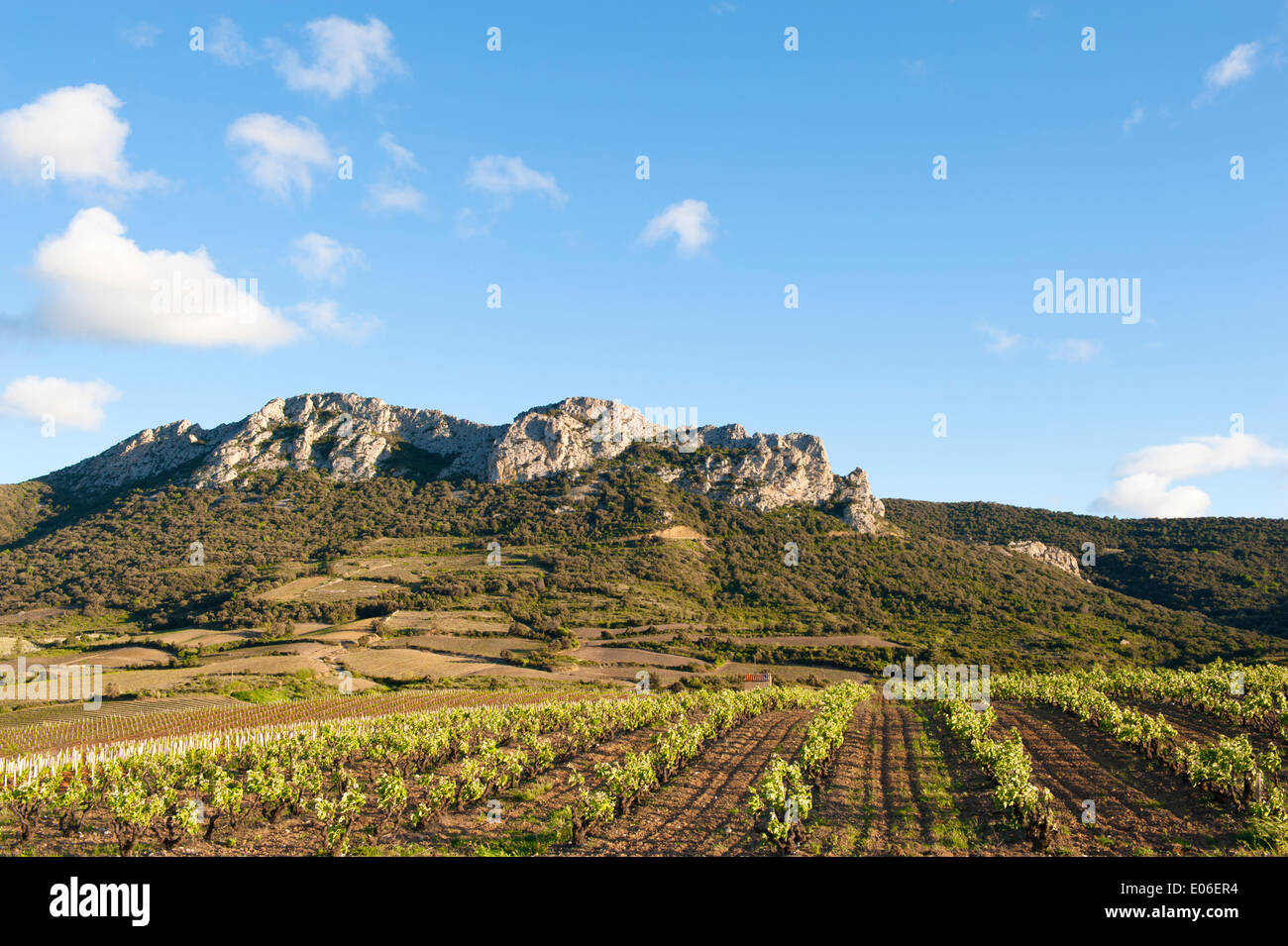 Altes Weingut bei Maury AOC Weinbau Tal in der Fenouillèdes, Languedoc-Roussillon, Frankreich Stockfoto