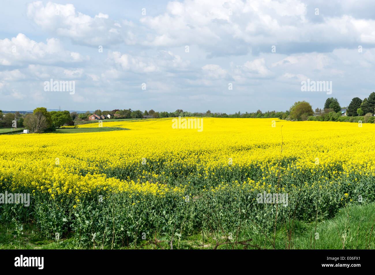 Daresbury war der Geburtsort von Alices Abenteuer im Wunderland Autor Lewis Carroll. Stockfoto